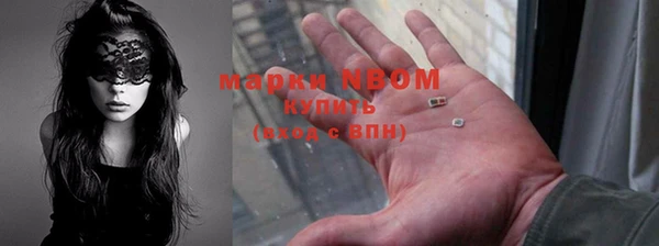 сатива Абаза