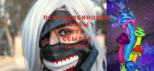 сатива Абаза