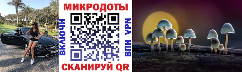 Галлюциногенные грибы Psilocybine cubensis  Богородицк 